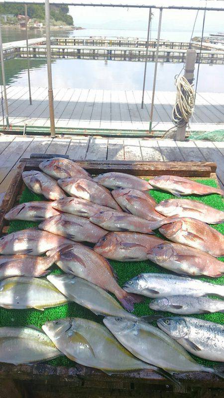 海の釣堀 海恵 釣果