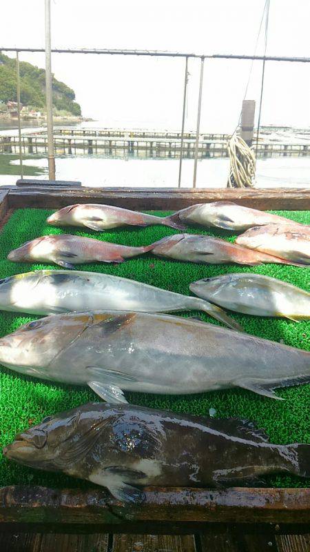 海の釣堀 海恵 釣果