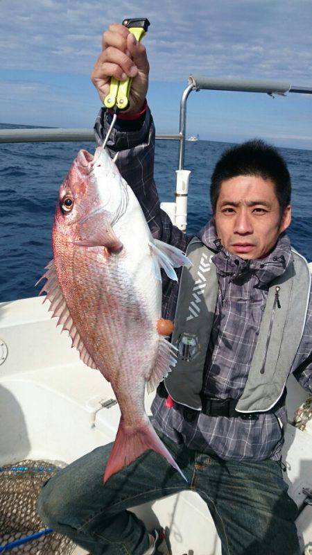 ARCADIAⅡ (アルカディアⅡ) 釣果