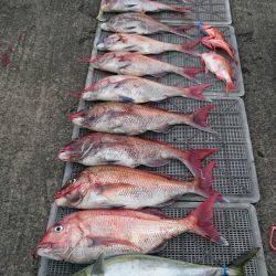 ARCADIAⅡ (アルカディアⅡ) 釣果