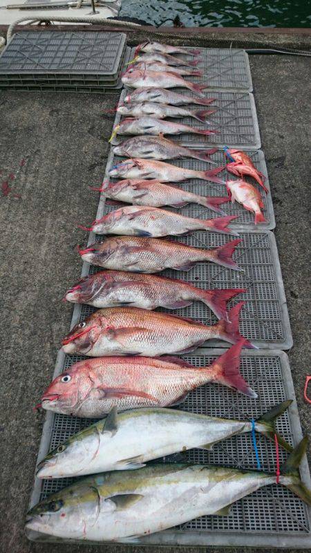 ARCADIAⅡ (アルカディアⅡ) 釣果