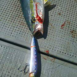 サンマリン 釣果