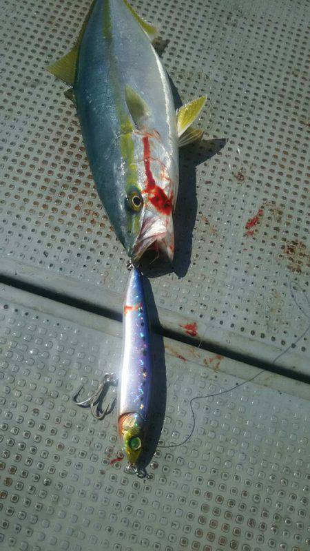 サンマリン 釣果