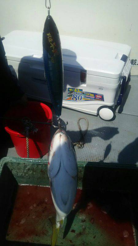 サンマリン 釣果