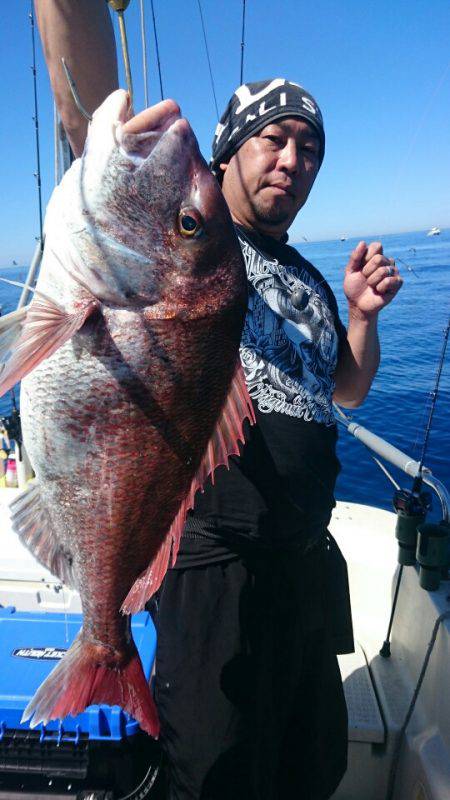 ARCADIAⅡ (アルカディアⅡ) 釣果