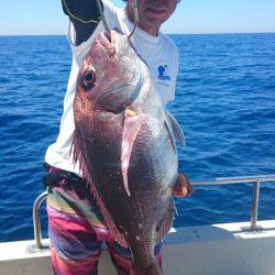 ARCADIAⅡ (アルカディアⅡ) 釣果