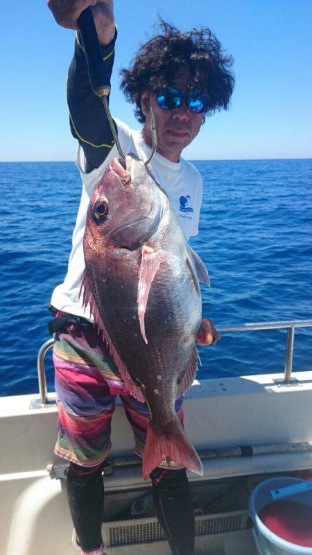 ARCADIAⅡ (アルカディアⅡ) 釣果