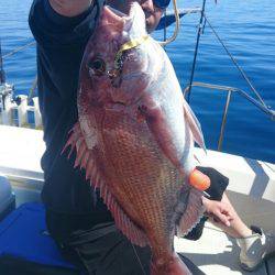 ARCADIAⅡ (アルカディアⅡ) 釣果