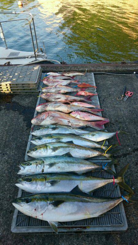 ARCADIAⅡ （アルカディアⅡ） 釣果…