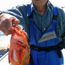 金沢八景鴨下丸 釣果