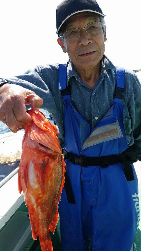 金沢八景鴨下丸 釣果