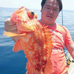 ARCADIAⅡ （アルカディアⅡ） 釣果