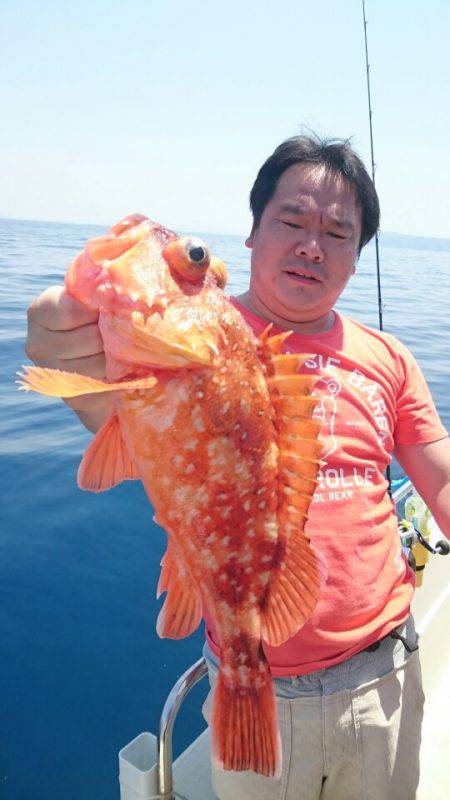 ARCADIAⅡ （アルカディアⅡ） 釣果