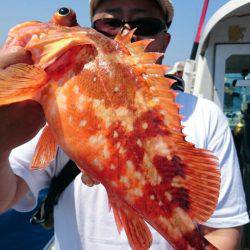 ARCADIAⅡ （アルカディアⅡ） 釣果