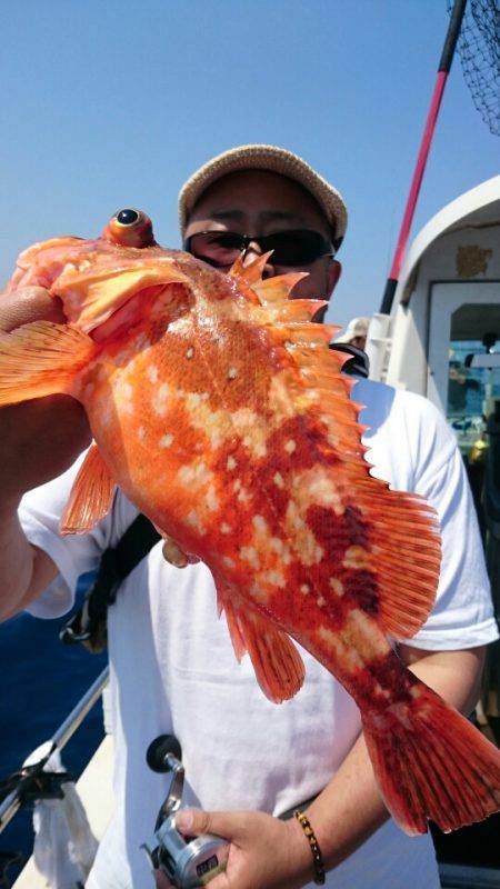 ARCADIAⅡ （アルカディアⅡ） 釣果