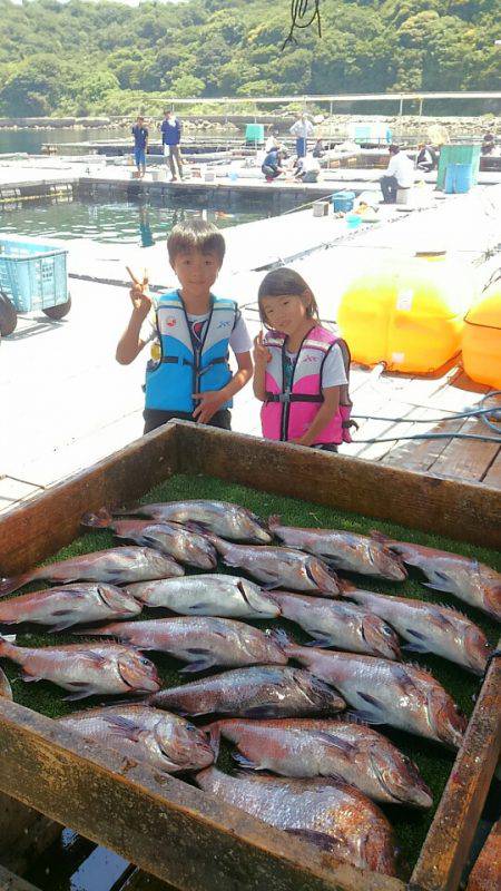 海の釣堀 海恵 釣果