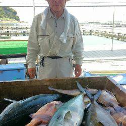 海の釣堀 海恵 釣果