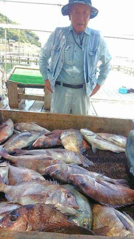 海の釣堀 海恵 釣果