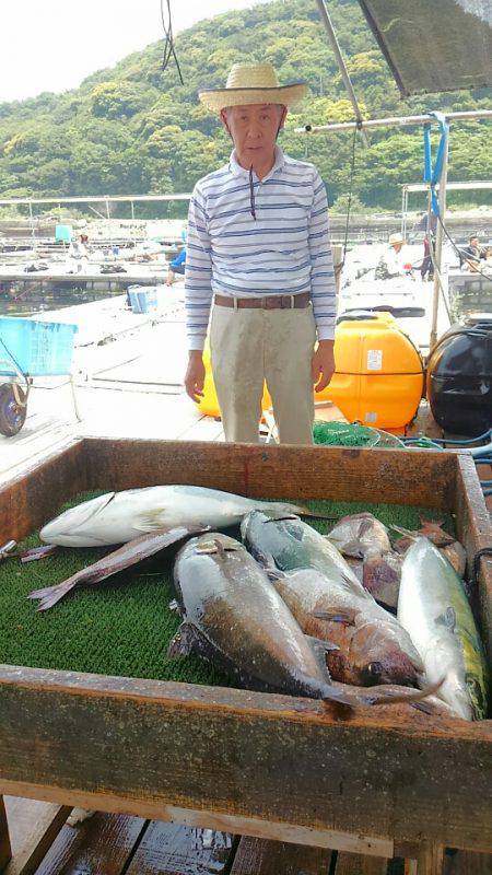海の釣堀 海恵 釣果