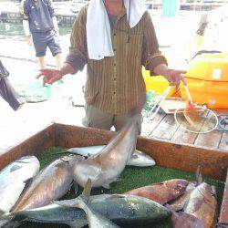 海の釣堀 海恵 釣果