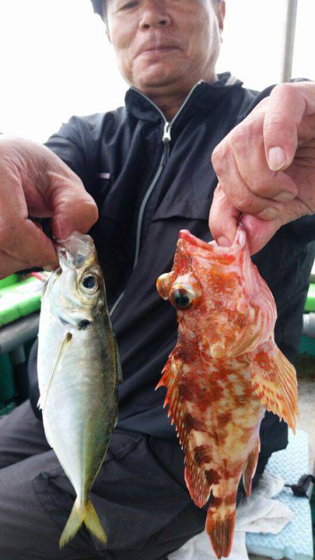 小島丸 釣果