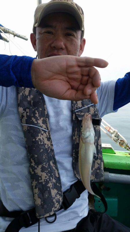 小島丸 釣果