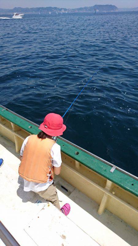 島きち丸 釣果