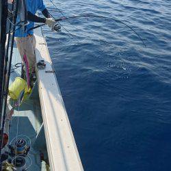 あみや渡船 JIGBOY 釣果