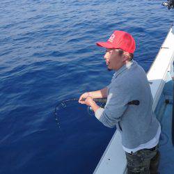 あみや渡船 JIGBOY 釣果