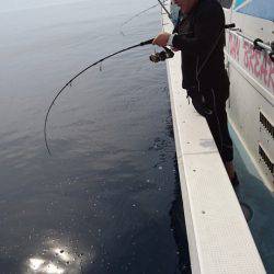 あみや渡船 JIGBOY 釣果