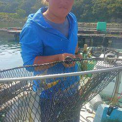 海の釣堀 海恵 釣果