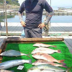 海の釣堀 海恵 釣果