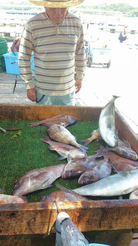 海の釣堀 海恵 釣果