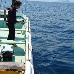 あみや渡船 JIGBOY 釣果