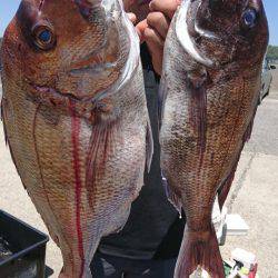 第三共栄丸 釣果