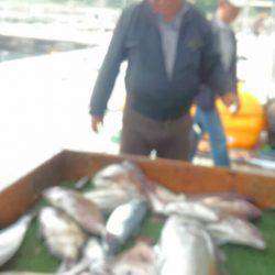 海の釣堀 海恵 釣果