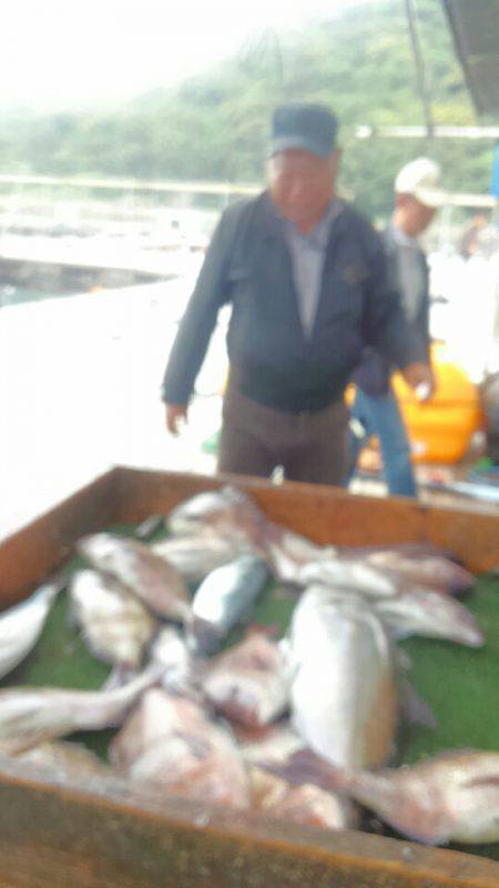 海の釣堀 海恵 釣果