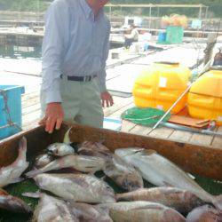 海の釣堀 海恵 釣果