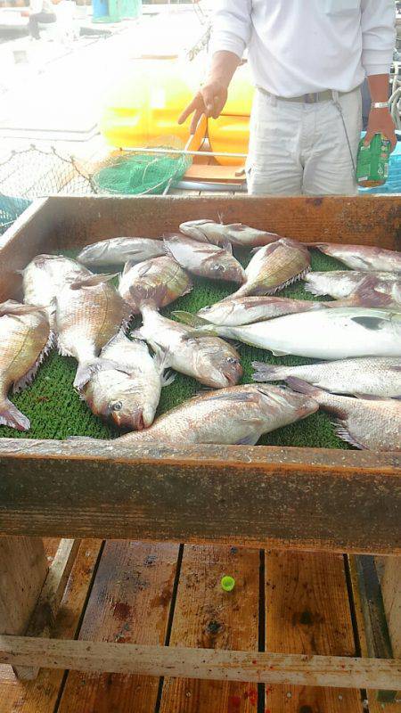 海の釣堀 海恵 釣果