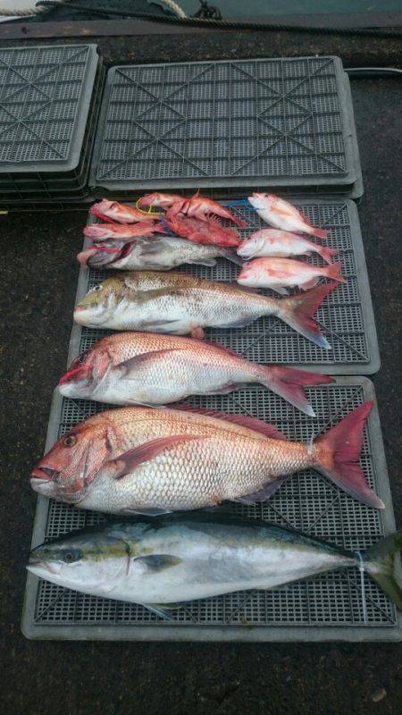 ARCADIAⅡ （アルカディアⅡ） 釣果…