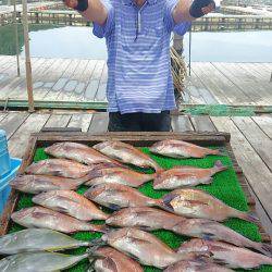 海の釣堀 海恵 釣果