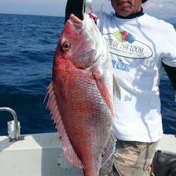 ARCADIAⅡ (アルカディアⅡ) 釣果