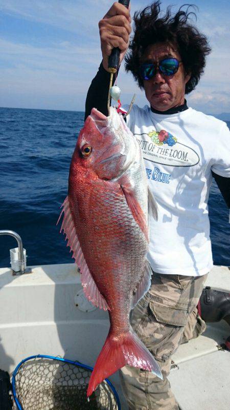 ARCADIAⅡ (アルカディアⅡ) 釣果