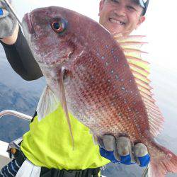 ARCADIAⅡ (アルカディアⅡ) 釣果