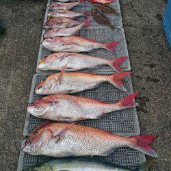 ARCADIAⅡ (アルカディアⅡ) 釣果