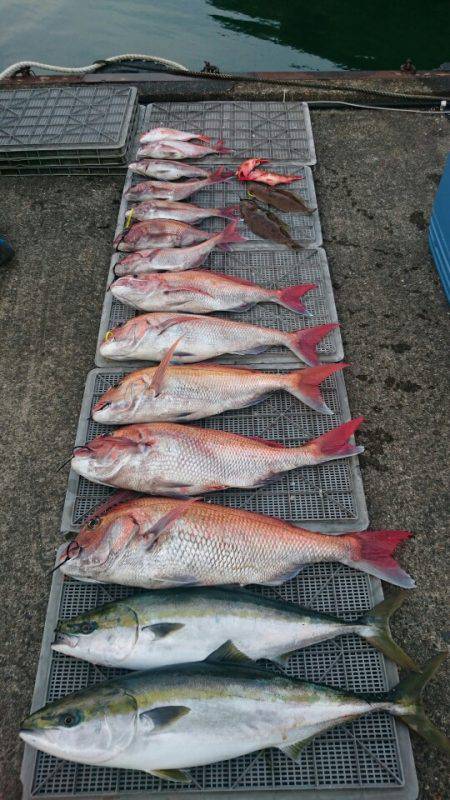 ARCADIAⅡ （アルカディアⅡ） 釣果…