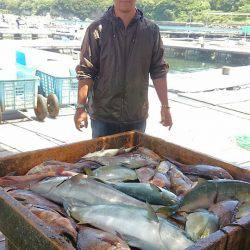 海の釣堀 海恵 釣果