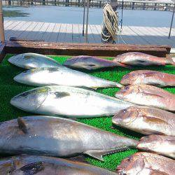 海の釣堀 海恵 釣果