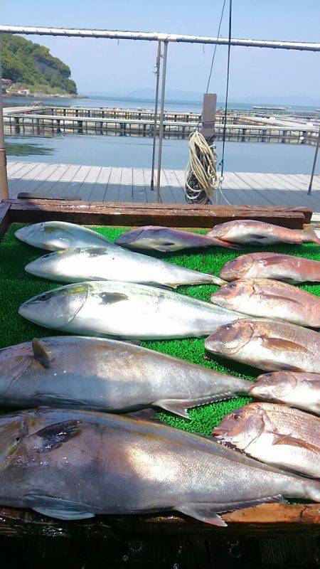 海の釣堀 海恵 釣果