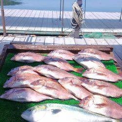 海の釣堀 海恵 釣果